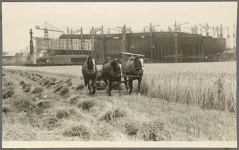 Anonyme photographie Paris : Musée d'art moderne de la ville de Paris. Exposition. Les échanges intellectuels à travers le monde (1937) Angleterre, Royaume-Uni 1937/1/1 Ph.1941.96.17 Photo