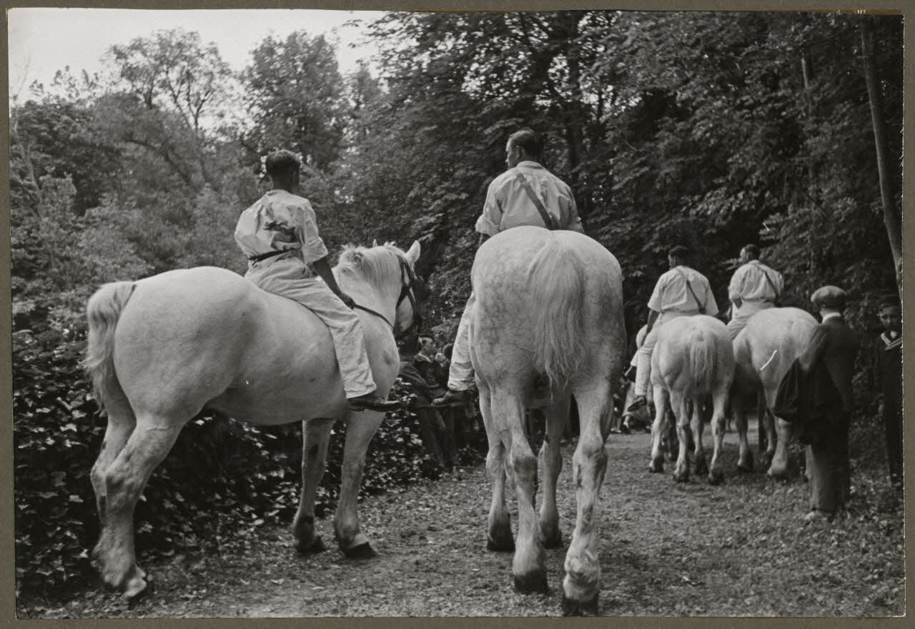 Madame Cartier photographie Dans le parc. Fête de Sylvie et des tireurs d'arc organisée par la Fédération folklorique d'Ile-de-France. Gars de la ferme sur leurs percherons blancs Picardie, France 1938/6/19 Ph.1941.97.16 Photo