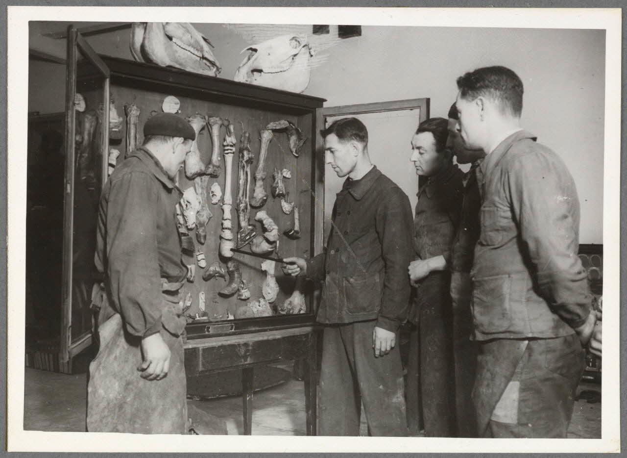 Safara photographie Paris. Centre de perfectionnement de l'artisanat rural. Fête de la Saint-Eloi Ile-de-France, France 1941/12/9 Ph.1942.61.12 Photo