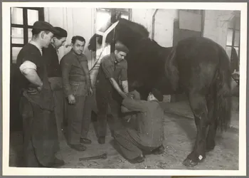 Safara photographie Paris. Centre de perfectionnement de l'artisanat rural. Fête de la Saint-Eloi Ile-de-France, France 1941/12/9 Ph.1942.61.9 Photo