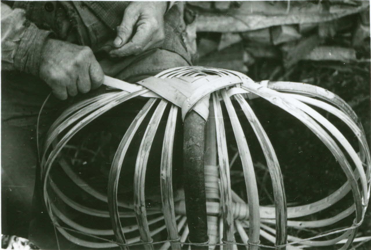 photographie Isidore Sophie, vannier. Départ de la première éclisse sous l'œil Ph.1943.116.71 Photo