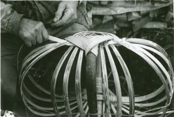 photographie Isidore Sophie, vannier. Départ de la première éclisse sous l'œil Ph.1943.116.71 Photo