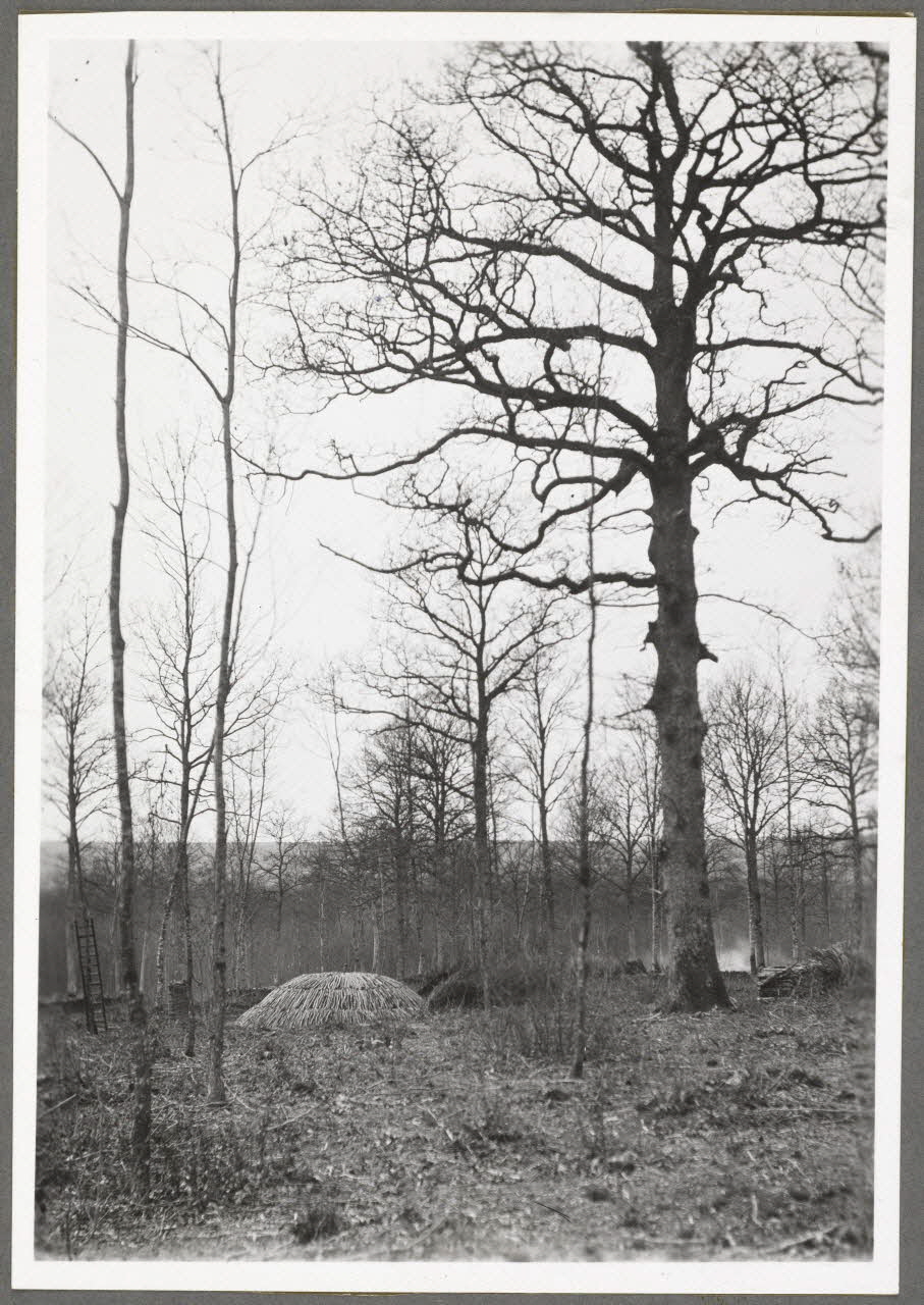 Monsieur D' Anchaed photographie Métier : charbonnier Bourgogne, France 1903/4/15 Ph.1943.125.1 Photo