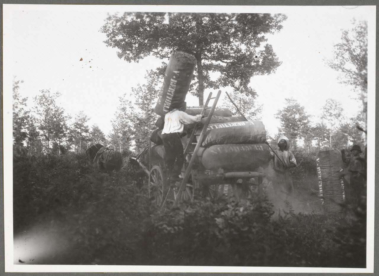 Monsieur D' Anchaed photographie Métier : charbonnier Bourgogne, France 1903/7/4 Ph.1943.125.10 Photo