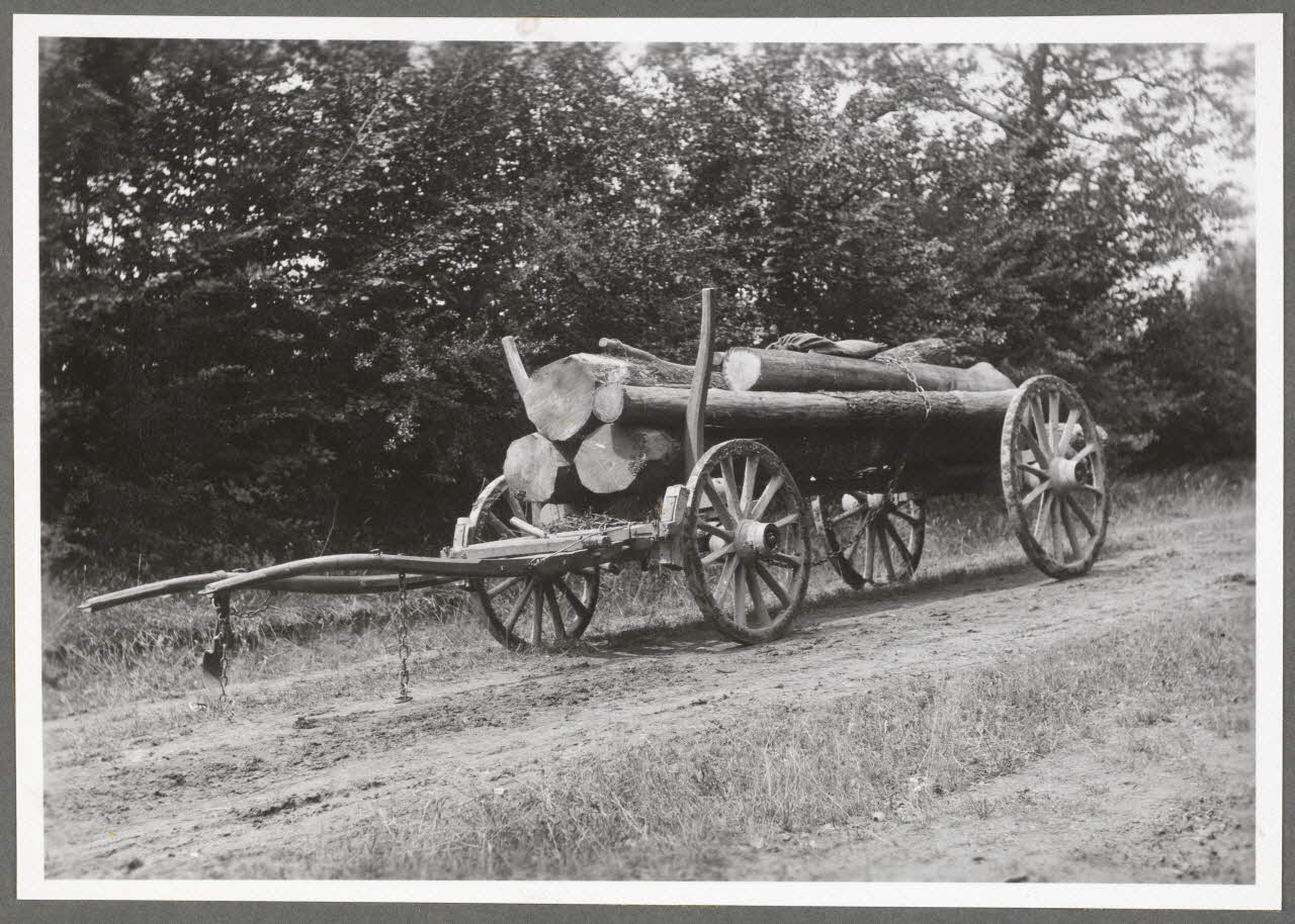 Monsieur D' Anchaed photographie Bois de Poisun. Grumes chargées Bourgogne, France 1903/7/8 Ph.1943.125.16 Photo