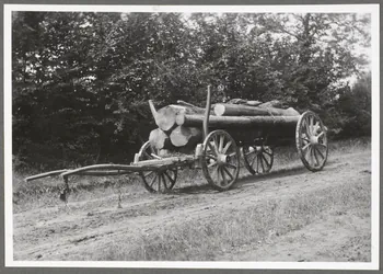 Monsieur D' Anchaed photographie Bois de Poisun. Grumes chargées Bourgogne, France 1903/7/8 Ph.1943.125.16 Photo