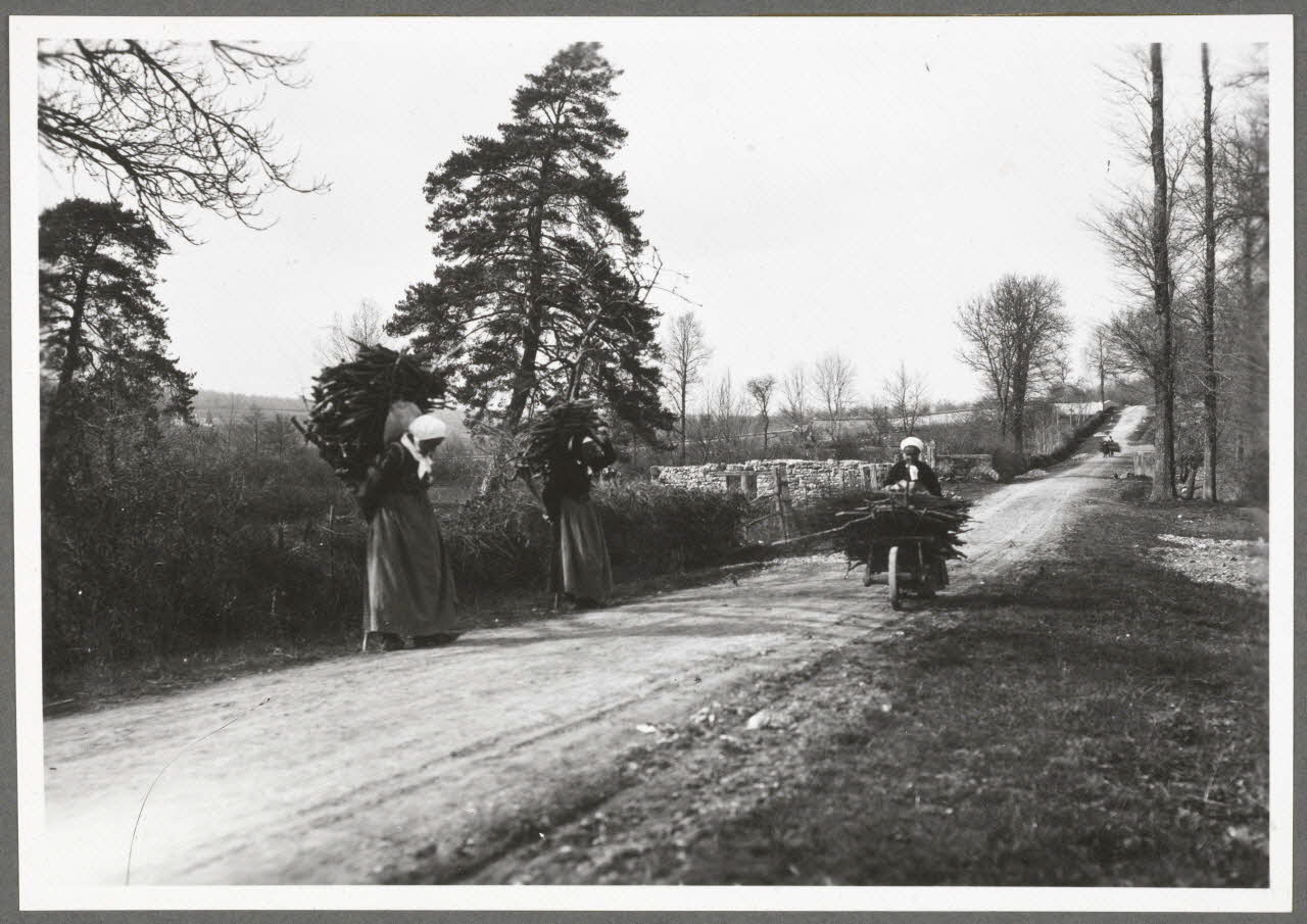 Monsieur D' Anchaed photographie Bois de Poisun. Corvée du bois mort Bourgogne, France 1903/04/18 Ph.1943.125.18 Photo