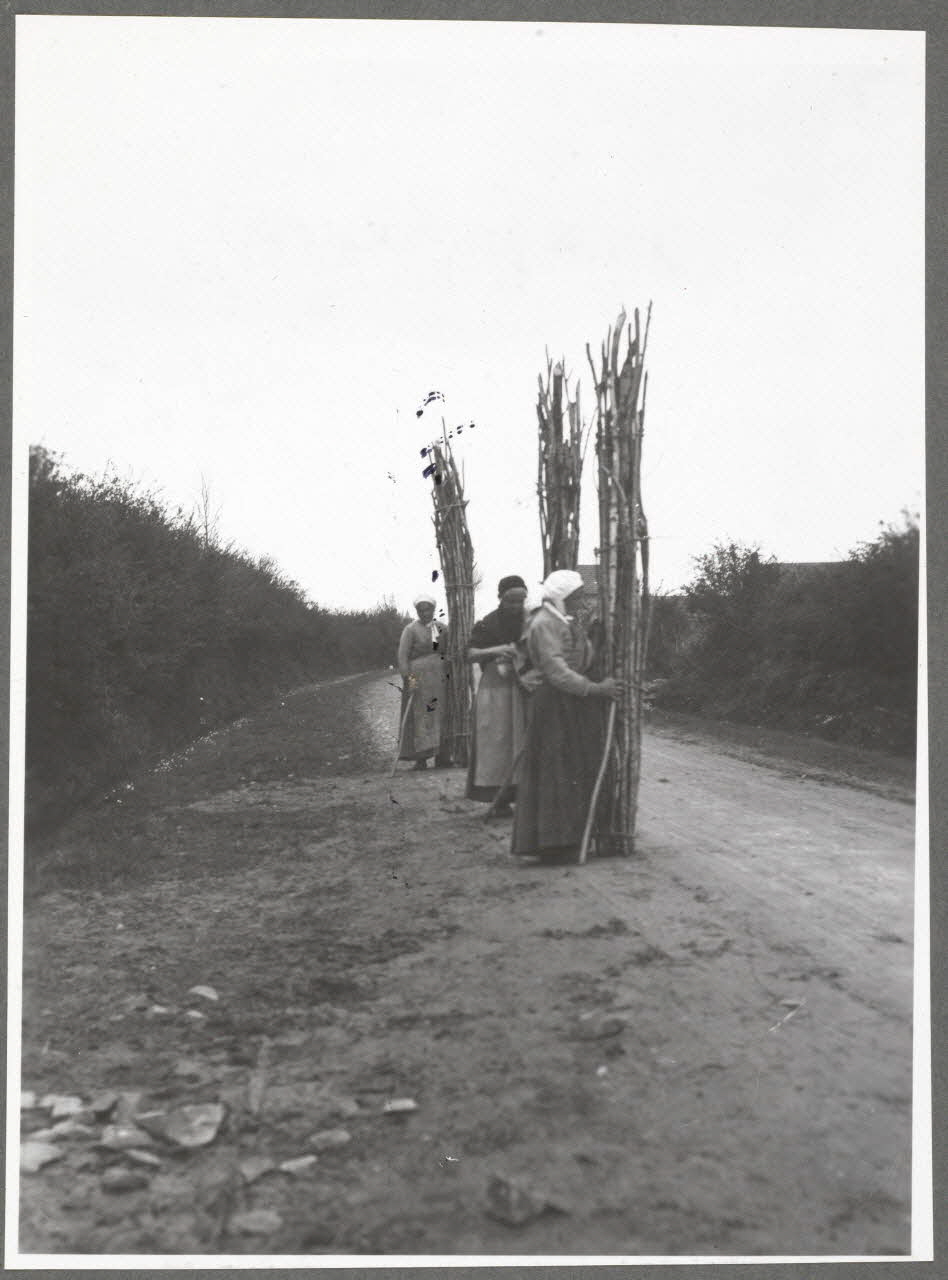 Monsieur D' Anchaed photographie Bois de Poisun. Corvée du bois mort Bourgogne, France 1903/4/10 Ph.1943.125.21 Photo