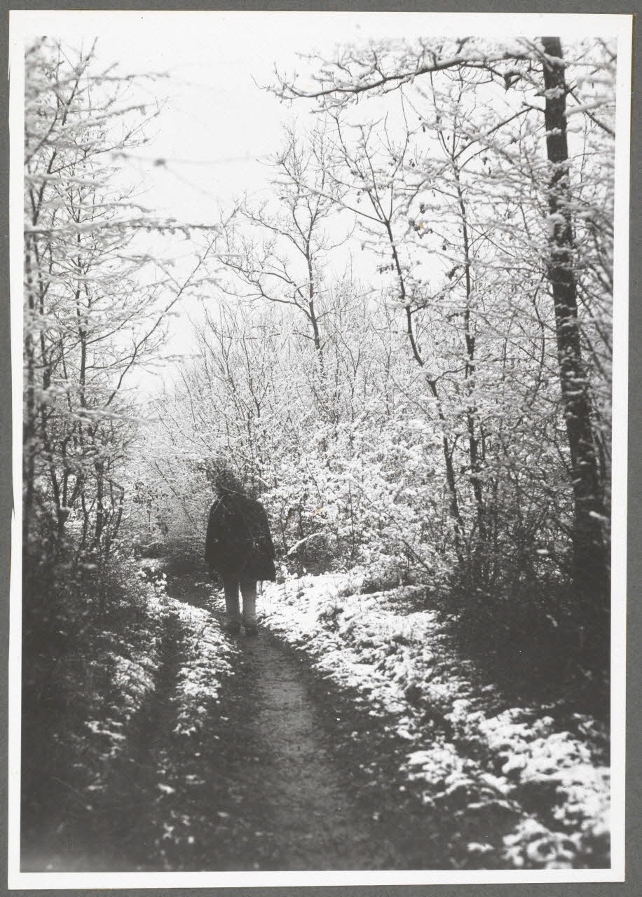 Monsieur D' Anchaed photographie Bois de Poisun. Effet de neige Bourgogne, France 1903/4/18 Ph.1943.125.23 Photo