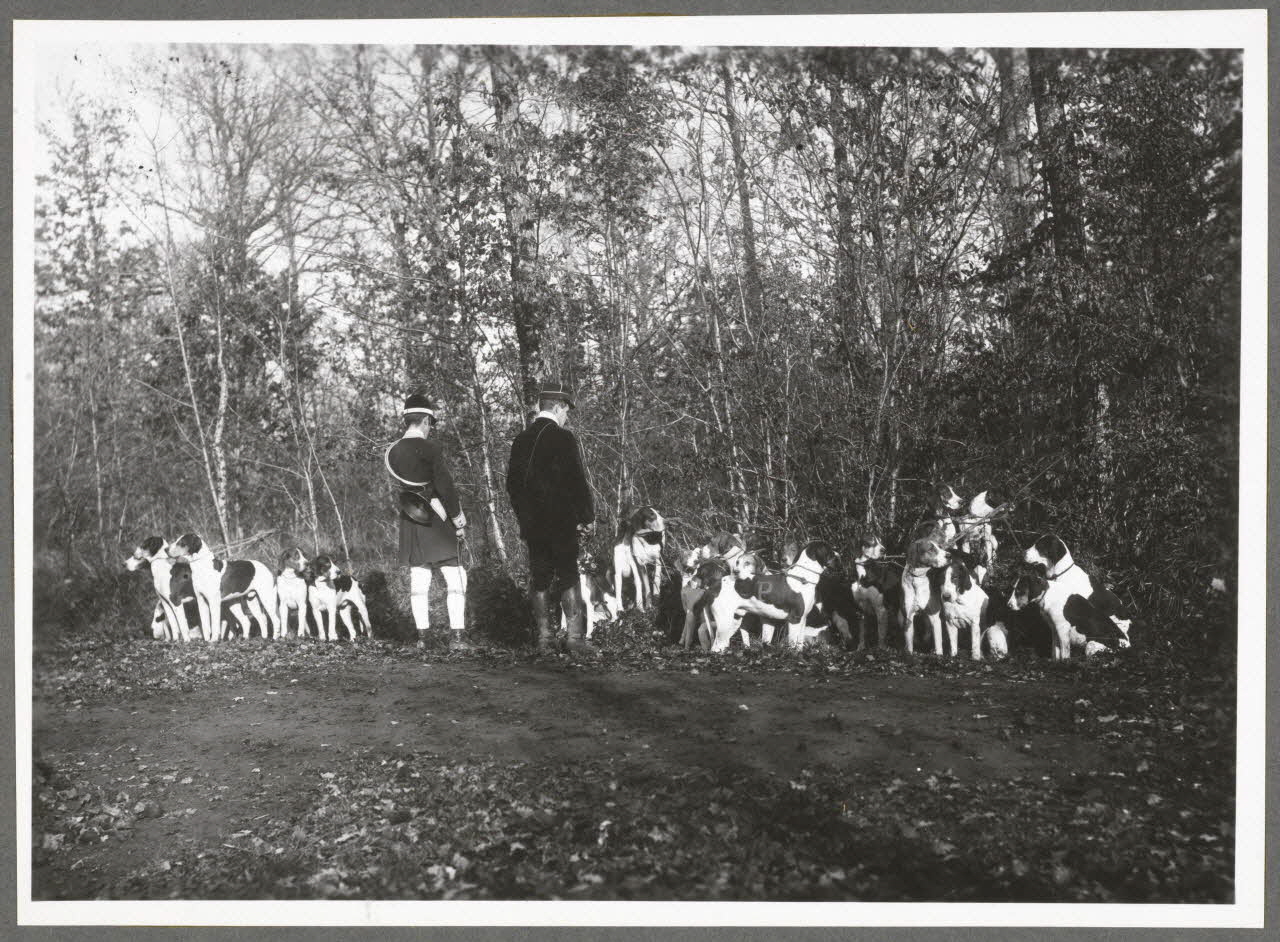 Monsieur D' Anchaed photographie Bois de Poisun. Meute Bourgogne, France 1903/7/6 Ph.1943.125.26 Photo