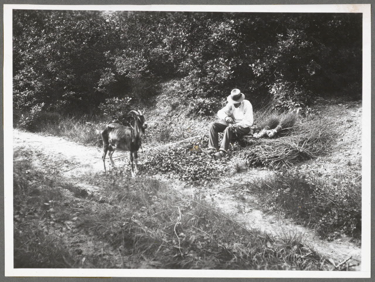 Monsieur D' Anchaed photographie Bois de Poisun. Chevrier fabricant des balais Bourgogne, France 1903/7/20 Ph.1943.125.27 Photo