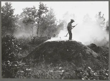 Monsieur D' Anchaed photographie Métier : charbonnier Bourgogne, France 1903/7/4 Ph.1943.125.4 Photo