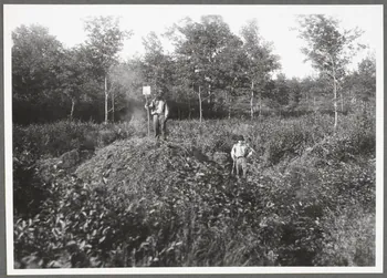 Monsieur D' Anchaed photographie Métier : charbonnier Bourgogne, France 1903/7/4 Ph.1943.125.5 Photo