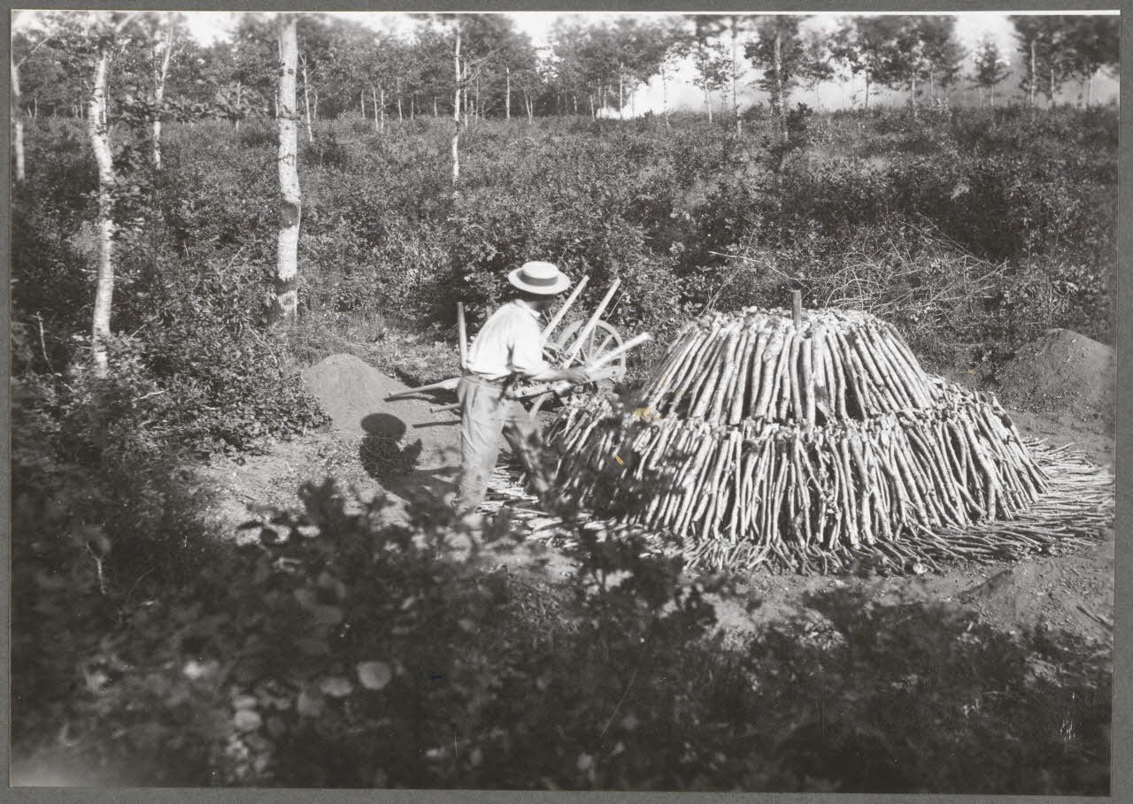 Monsieur D' Anchaed photographie Métier : charbonnier Bourgogne, France 1903/7/4 Ph.1943.125.6 Photo