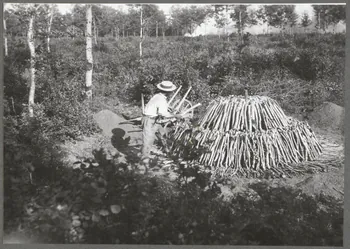 Monsieur D' Anchaed photographie Métier : charbonnier Bourgogne, France 1903/7/4 Ph.1943.125.6 Photo