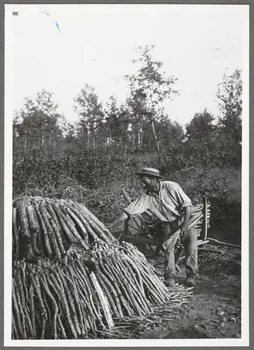 Monsieur D' Anchaed photographie Métier : charbonnier Bourgogne, France 1903/7/4 Ph.1943.125.7 Photo