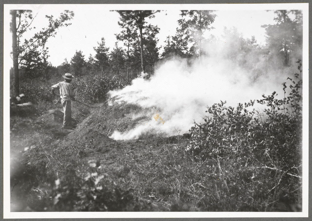 Monsieur D' Anchaed photographie Métier : charbonnier Bourgogne, France 1903/7/4 Ph.1943.125.9 Photo