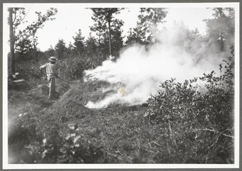 Monsieur D' Anchaed photographie Métier : charbonnier Bourgogne, France 1903/7/4 Ph.1943.125.9 Photo