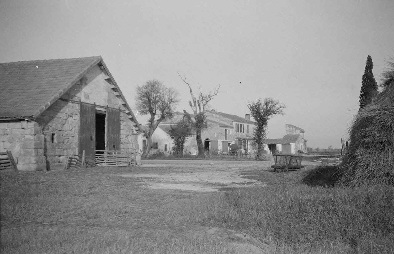 Roger Pepiot photographie Mas Tort. Façade de l'ensemble Provence-Alpes-Côte d'Azur, France 1942/11/1 Ph.1943.190.35 Photo Mucem/ Roger Pepiot
