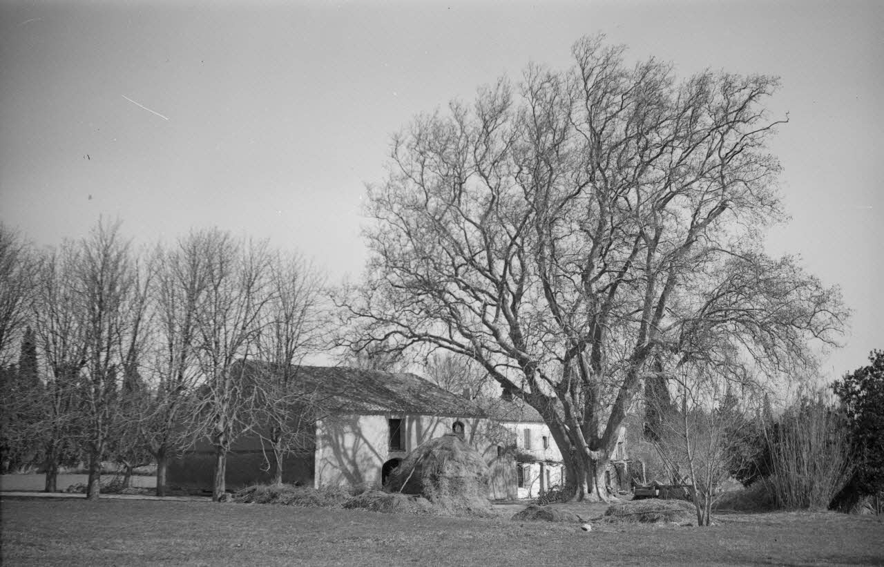 Roger Pepiot photographie Mas des marchands. Ensemble Provence-Alpes-Côte d'Azur, France 1943/2/1 Ph.1943.190.98 Photo