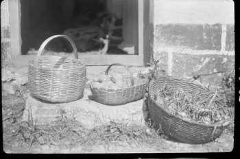 Dan Lailler photographie MNATP. Chantier 1810. Enquête sur les techniques artisanales (1942 - 1946) Pays de la Loire, France 1942/9/2 Ph.1943.3.23  Photo