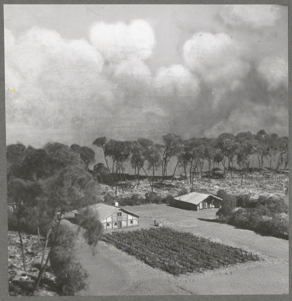 Anonyme photographie Soorts-Hossegor : Musée forestier. Ecomusée de la Grande Lande ? Aquitaine, France 1942/3/3 Ph.1943.59.2 Photo