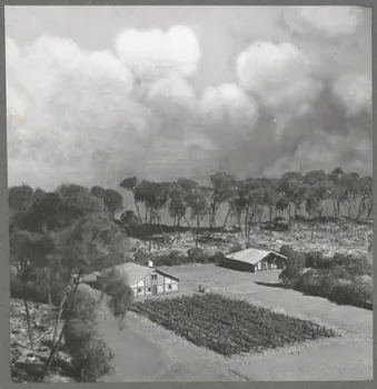 Anonyme photographie Soorts-Hossegor : Musée forestier. Ecomusée de la Grande Lande ? Aquitaine, France 1942/3/3 Ph.1943.59.2  Photo