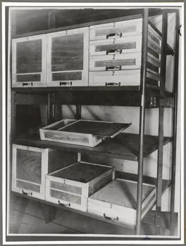 Jorrand photographie Paris : Musée d'ethnographie du Trocadéro Ile-de-France, France 1943/1/1 Ph.1943.79.5  Photo
