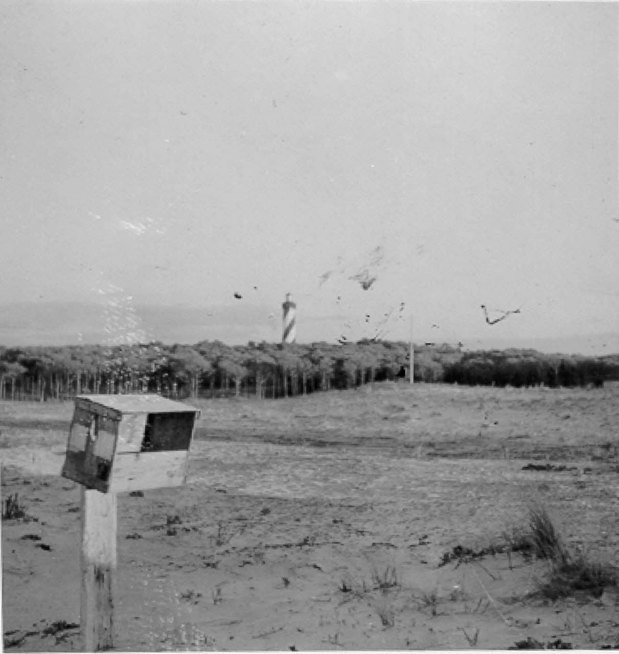 photographie Pierre Toulgouat (1901-1992) : les Landes (1939-1982) Ph.1943.81.452 Photo