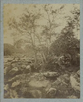Joseph Aumont photographie Album n°6 du Musée d'ethnographie du Trocadéro Pays de la Loire, France 1881/1/1 Ph.1944.41.628 Photo