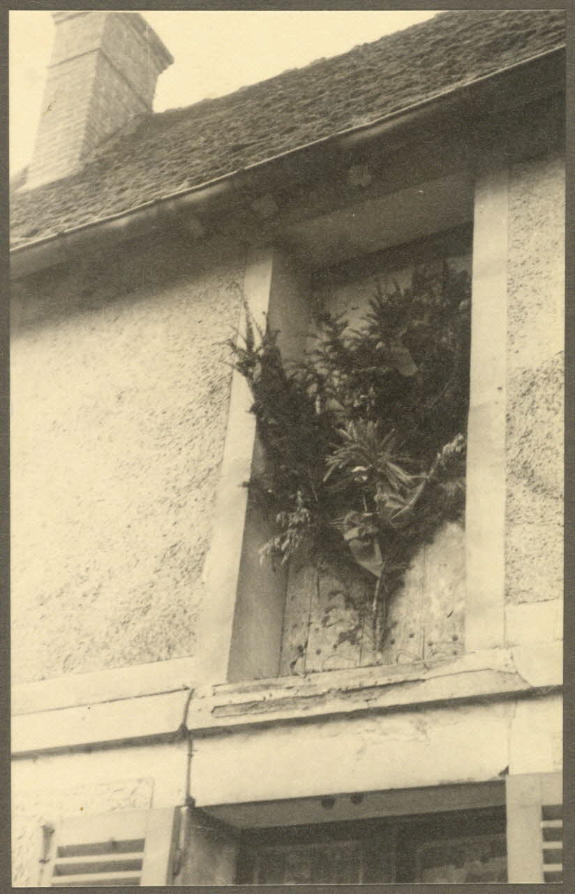 Maurice Perré photographie Bouquet de moisson ? Haute-Normandie, France 1944 Ph.1944.9.1 Photo