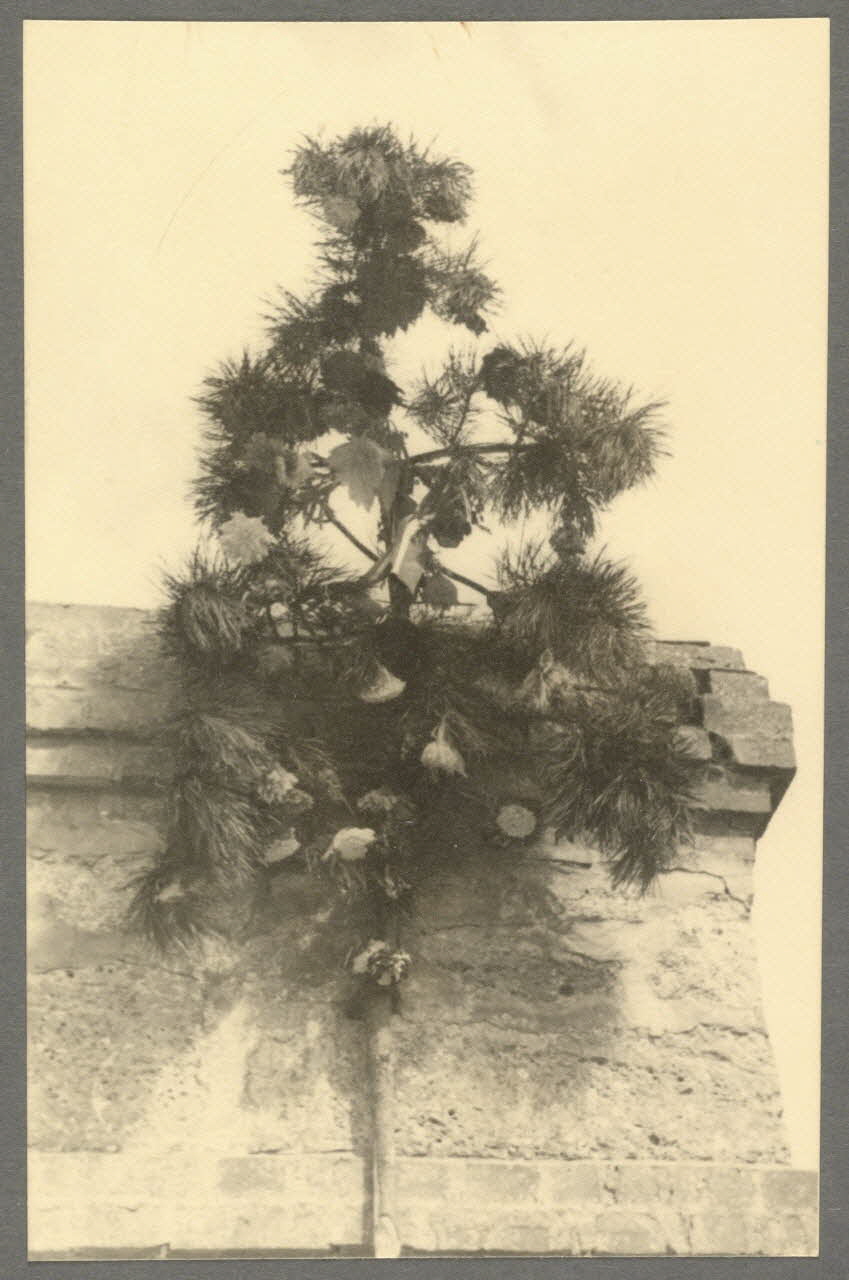 Maurice Perré photographie Ferme du manoir Picardie, France 1944 Ph.1944.9.7 Photo