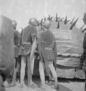 Pierre Soulier photographie Fête de la tarasque organisée par la commune libre de Jarnègues les 22, 23 et 24 juin 1946 à Tarascon Provence-Alpes-Côte d'Azur, France 1946/6/23 Ph.1946.118.88  Photo