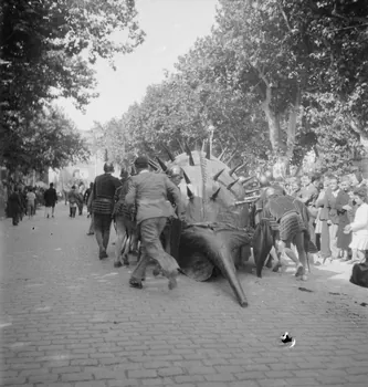 Pierre Soulier photographie Fêtes de la tarasque organisée par la commune libre de Jarnègues les 22, 23 et 24 juin 1946 à Tarascon Provence-Alpes-Côte d'Azur, France 1946/6/23 Ph.1946.118.92  Photo Mucem / Pierre Soulier