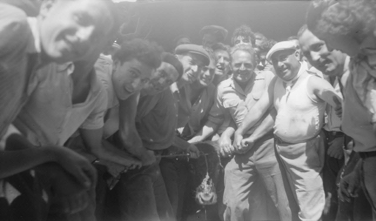 L. Frasse photographie Le second "Toro" arrive encordé rue du Jeu de Paume Provence-Alpes-Côte d'Azur, France 1946/7/14 Ph.1946.135.17 Photo