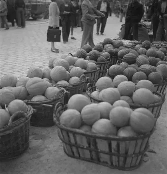 Pierre Soulier photographie Cageots de melons Provence-Alpes-Côte d'Azur, France 1946/9/28 Ph.1946.135.5  Photo