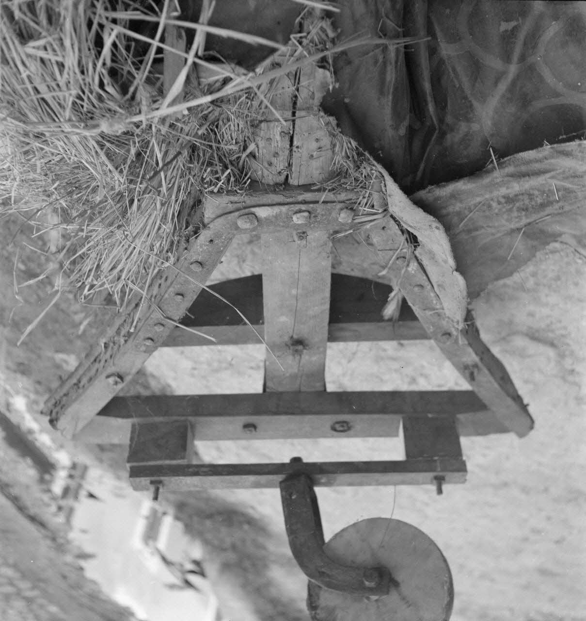 Pierre Soulier photographie Queue de la tarasque (vue de dessous) Provence-Alpes-Côte d'Azur, France 1946/9/28 Ph.1946.135.8 Photo
