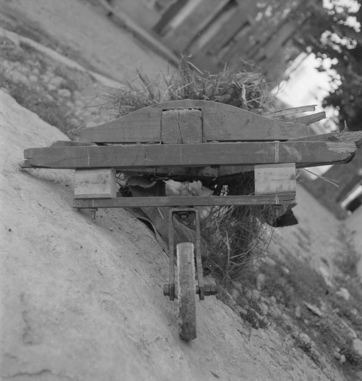 Pierre Soulier photographie Queue de la tarasque (vue en élévation) Provence-Alpes-Côte d'Azur, France 1946/9/28 Ph.1946.135.9 Photo