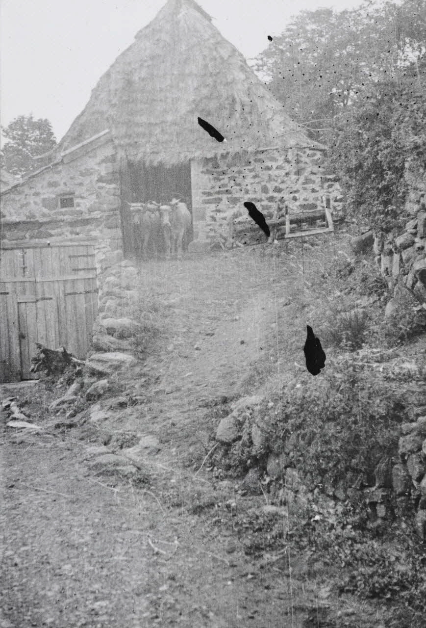 Claudie Marcel-Dubois photographie MNATP. Enquête sur l'ethnomusicologie conduite par Claudie Marcel-Dubois, Marie-Marguerite Pichonnet-Andral et Pierre Nauton en Haute-Loire (1946) Auvergne, France 1946 Ph.1949.64.18 Photo