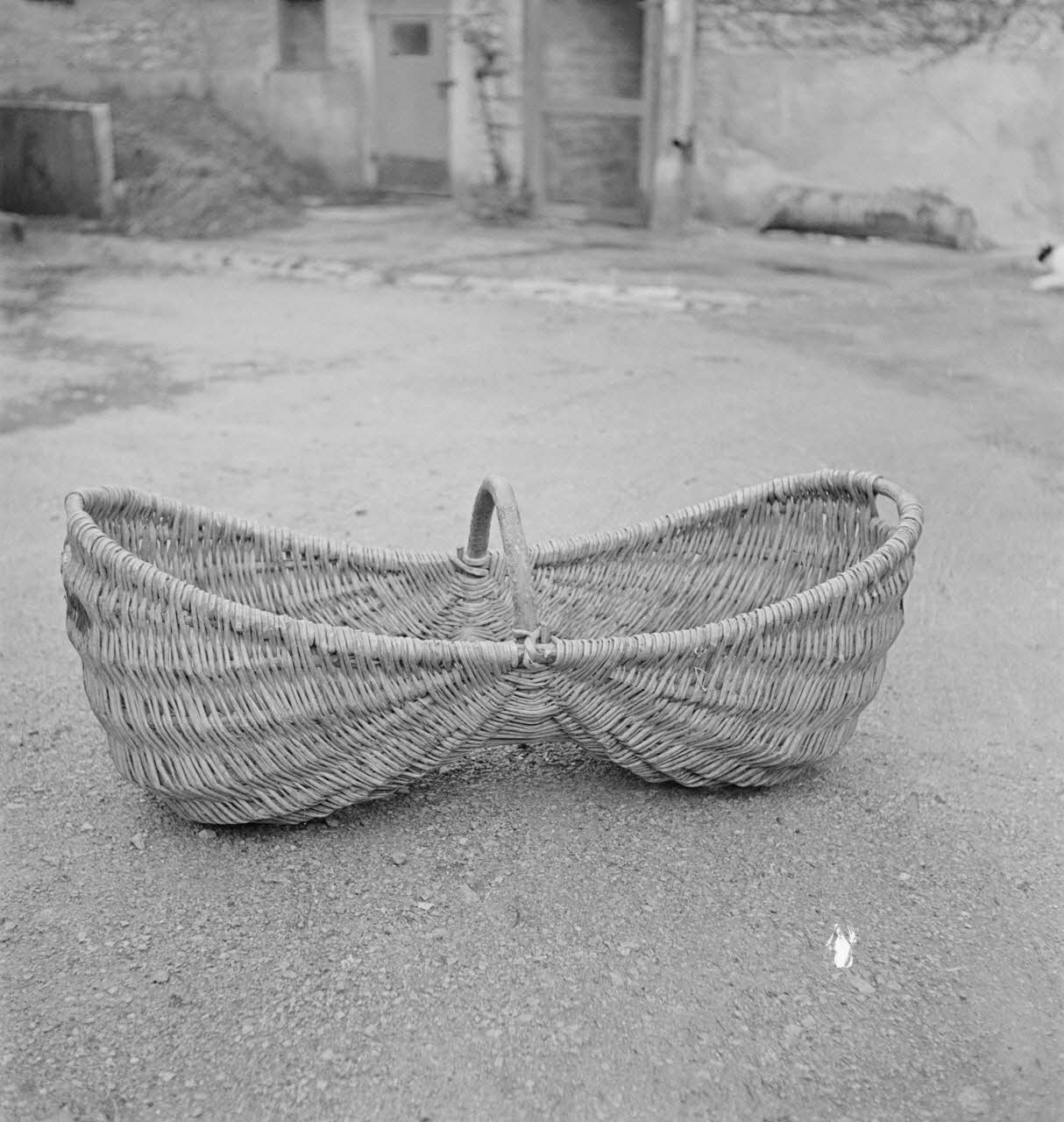 Pierre Soulier photographie MNATP. Enquête sur la viticulture en Bourgogne (1946 - 1950) Bourgogne, France 1950/4/10 Ph.1950.18.128 Photo