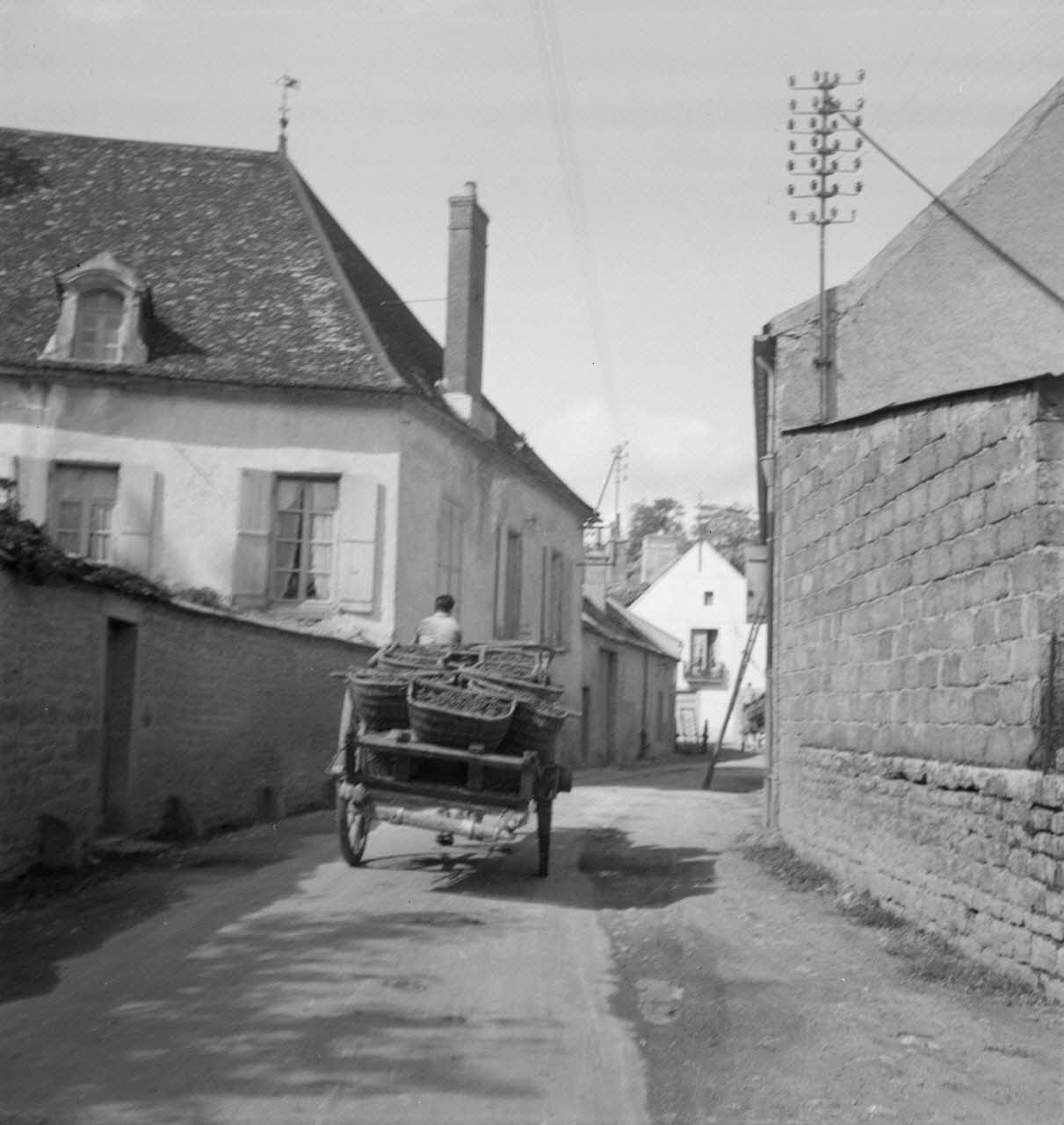 Rondet photographie MNATP. Enquête sur la viticulture en Bourgogne (1946 - 1950). Bourgogne, France 1950/09/26 Ph.1950.41.195 Photo