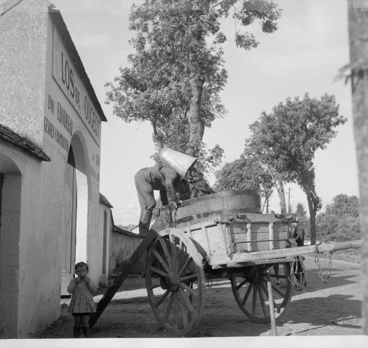 Rondet photographie MNATP. Enquête sur la viticulture en Bourgogne (1946 - 1950). Bourgogne, France 1950/09/26 Ph.1950.41.213 Photo