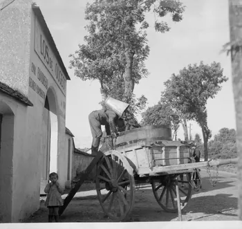 Rondet photographie MNATP. Enquête sur la viticulture en Bourgogne (1946 - 1950). Bourgogne, France 1950/09/26 Ph.1950.41.213 Photo