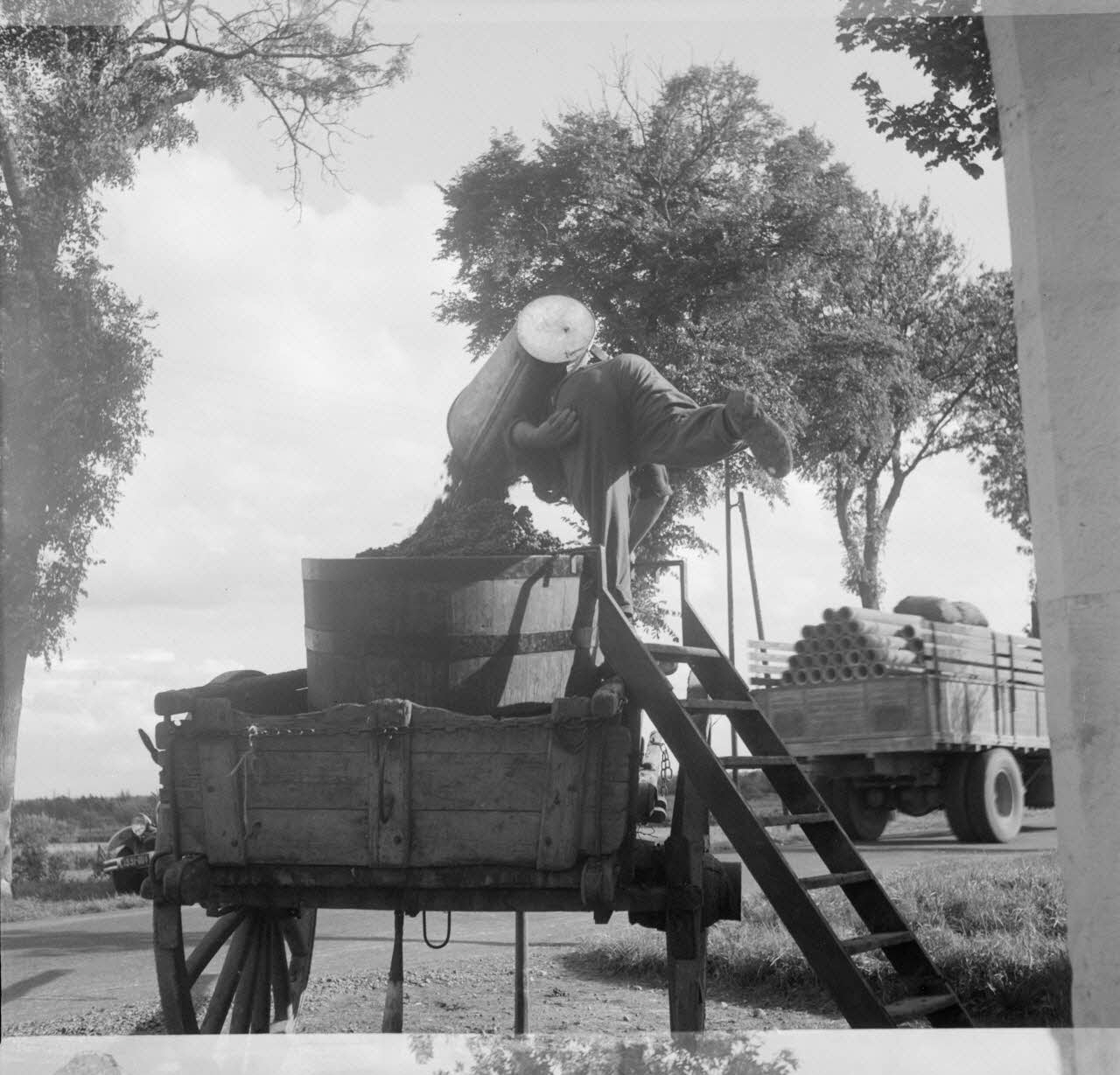 Rondet photographie MNATP. Enquête sur la viticulture en Bourgogne (1946 - 1950). Bourgogne, France 1950/09/26 Ph.1950.41.214 Photo