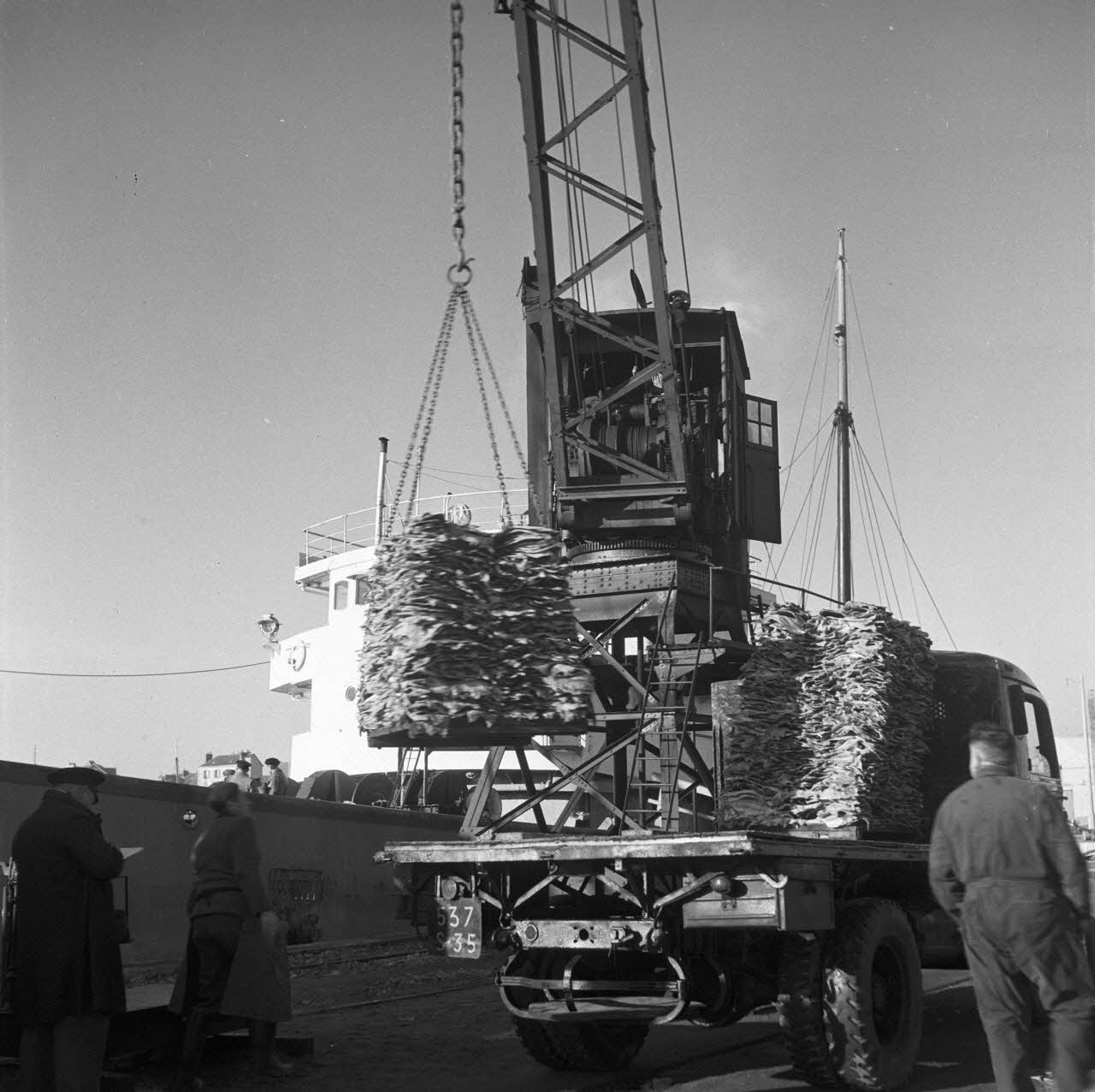 photographie Quai Duguay-Trouin. Le chalutier "Pingouin" décharge ses morues [21/12/1950 entre Ph.1952.22.2 Photo