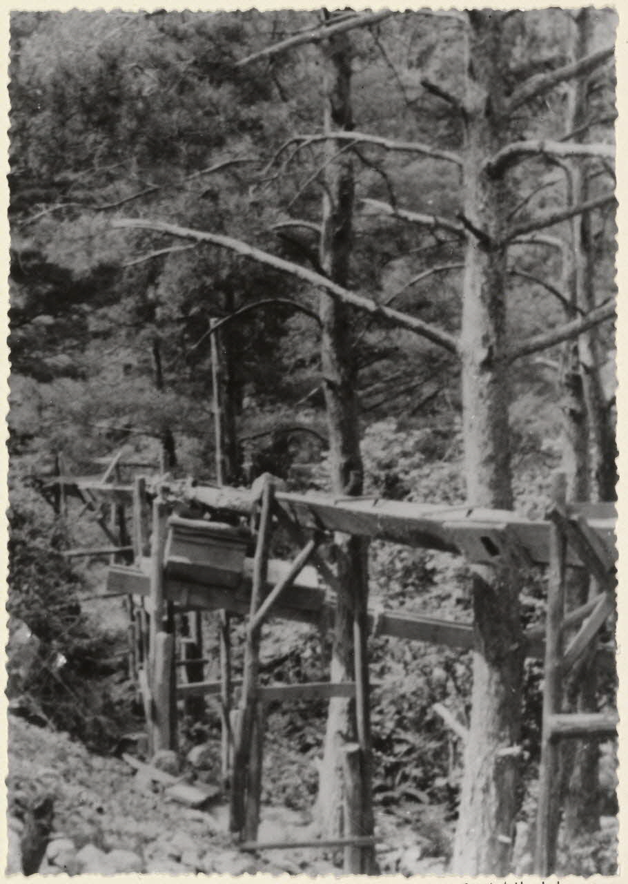 Huchet photographie Causse de Blandas. Système très primitif de canalisation en bois amenant l'eau du chantier des mines de Malines Languedoc-Roussillon, France 1955 Ph.1955.45.15 Photo