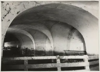 Jean Blanc photographie Lieu dit : Saint-Jean, domaine du Merle, Bergerie de Crau. Intérieur. Grande bergerie à voûte avec peu d'ouvertures, traits caractéristiques des bergeries (jasses) de Provence et des Grands Causses Provence-Alpes-Côte d'Azur, France 1955 Ph.1962.111.3 Photo Mucem / Jean Blanc