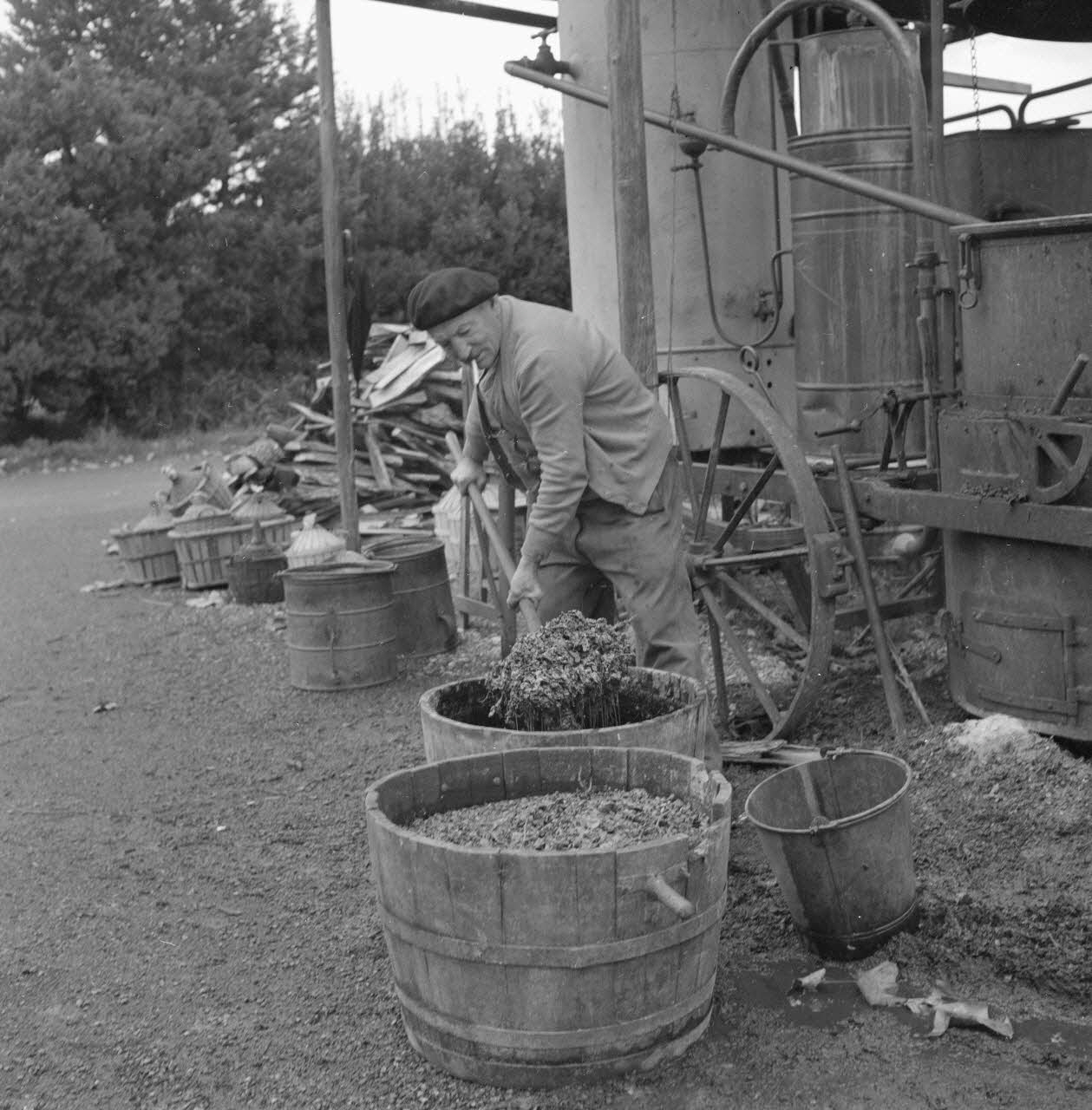 M. Richet photographie Monsieur Jean Caban, distillateur, prend dans la comporte en bois cerclée de fer que lui a apporté un vigneron, le marc qu'il va mettre dans l'alambic Provence-Alpes-Côte d'Azur, France 1962/10/12 Ph.1963.31.17 Photo