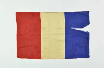 drapeau 1965.11.14.7 Photo Mucem