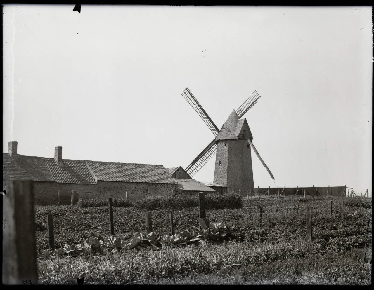 Lallement photographie Collection Lallement Nord-Pas-de-Calais, France 1921/6/17 Ph.1966.102.309 Photo